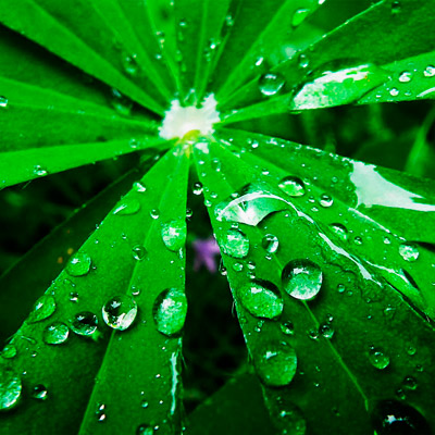 网页攻击器教程